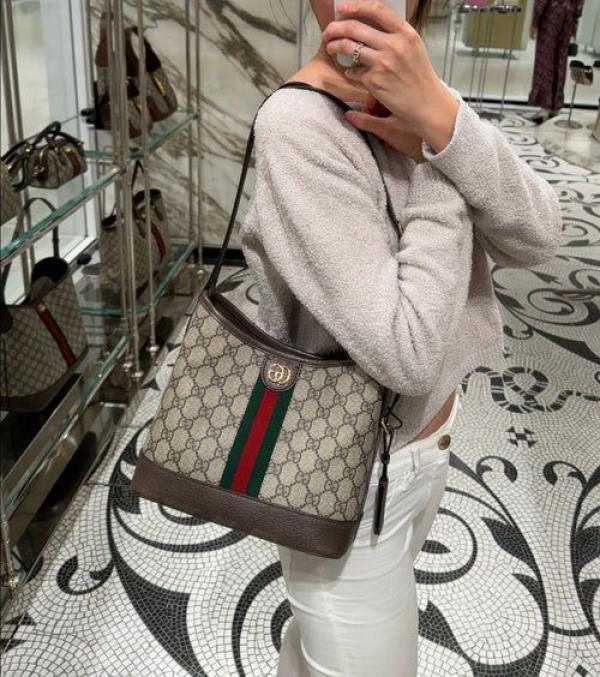 G-Inspired Ophidia shoulder Bag (Brown)