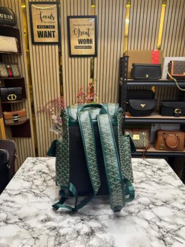 Goyard Alpin Backpack In Ian Pattern Premium Quality (Green)