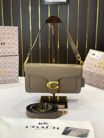 C-Inspired Tabby Shoulder & Sling Bag with Box