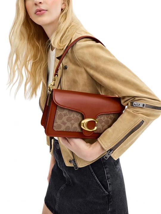 C-Inspired Tabby Shoulder & Sling Bag with Box