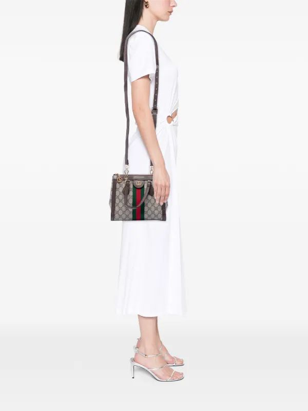 G-inspired Ophidia Small Tote Bag With Box