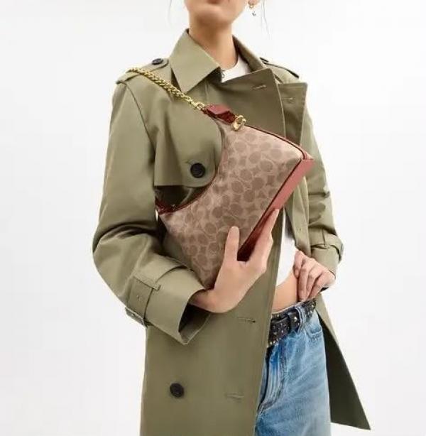 C-Inspired Juliet Hobo Bag With Box (Biege)