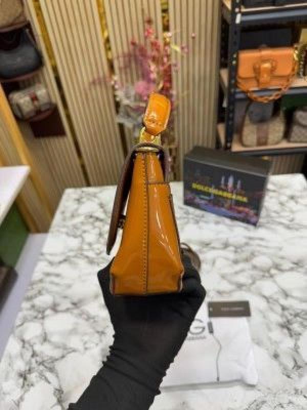 D&G Lacquered Bag (brown)
