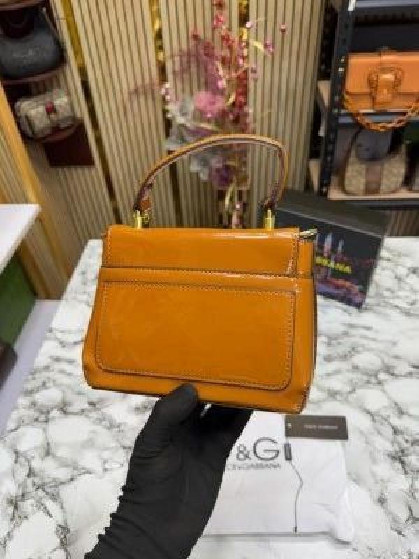 D&G Lacquered Bag (brown)