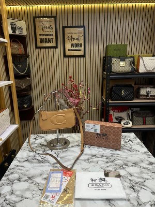 C-Inspired Teri Shoulder Bag With Box And Dust Bag (Khakhi)