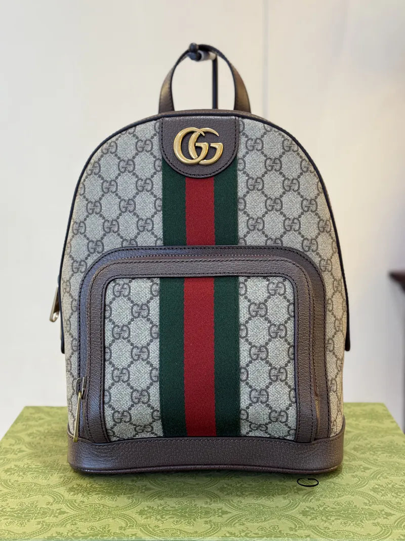 G-inspired Ophidia GG Printed Backpack With Dust Bag (Brown) Main image